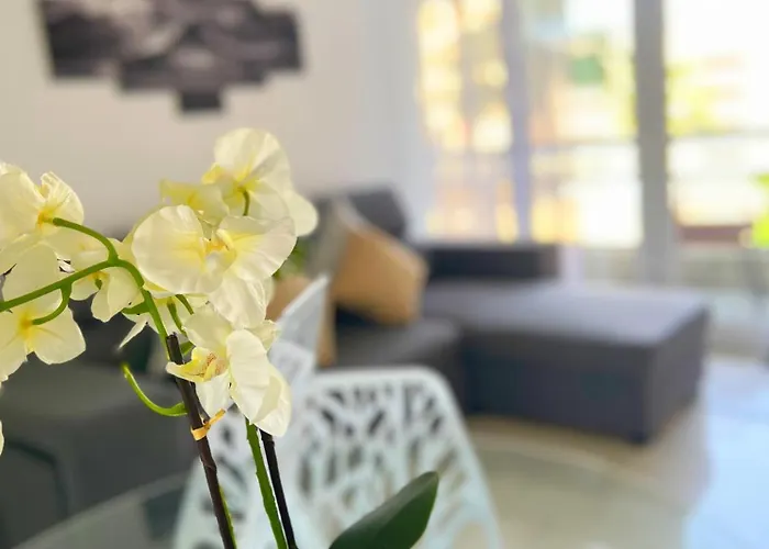 Remo 1 By Residea Apartment